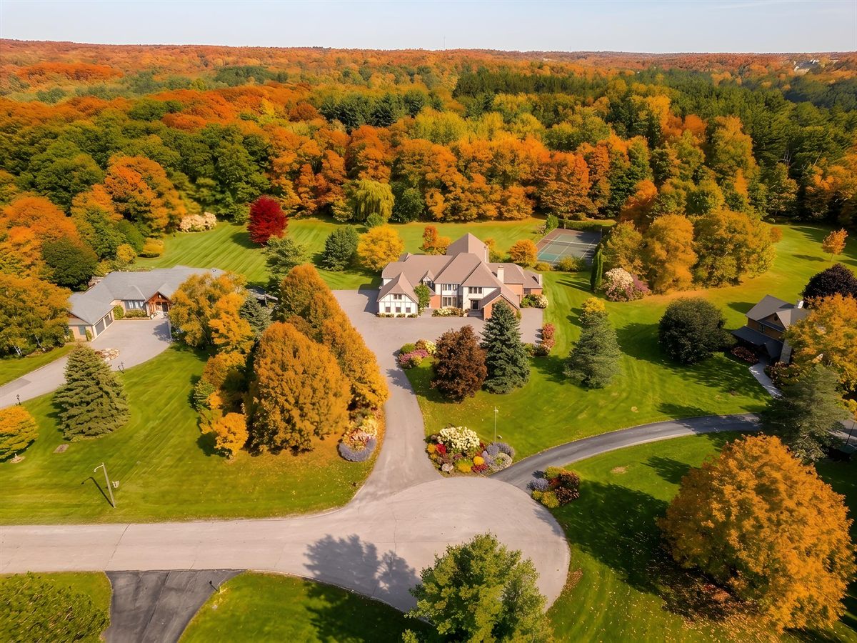 Four season AI drone edit fall example