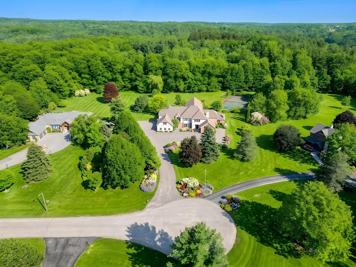 Four season AI drone edit summer example